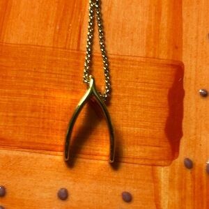 Wishbone Pendant Gold Long 34” Necklace by J. Crew